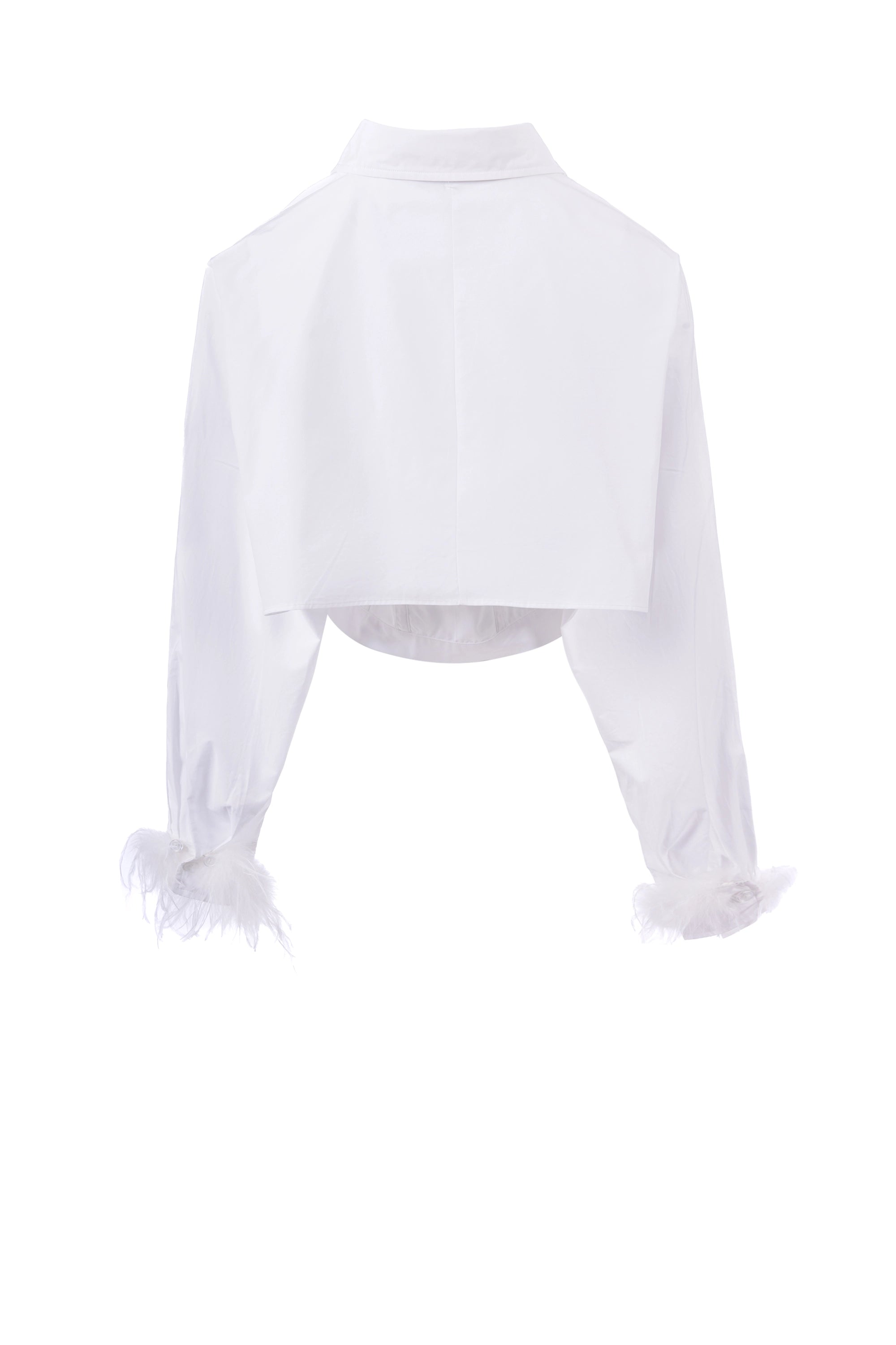 Feathery Sleeve قميص متناسق كم طويل سادة