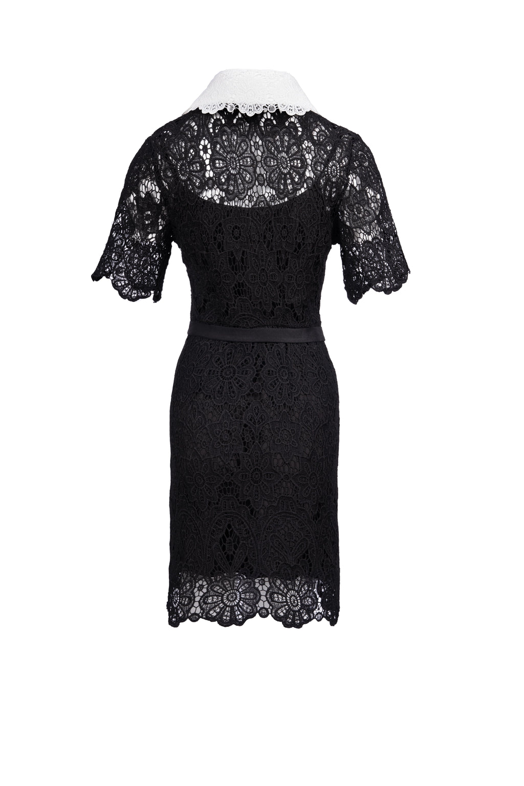 Classic Dress mid fit dress half sleeve plain فستان متناسق كم قصير ساده