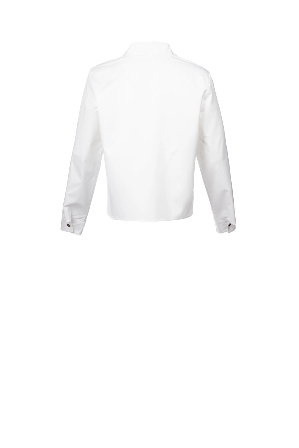 CROP GLITZ APEX SHIRT طول قصير، أكمام طويلة، حافة سفلية.